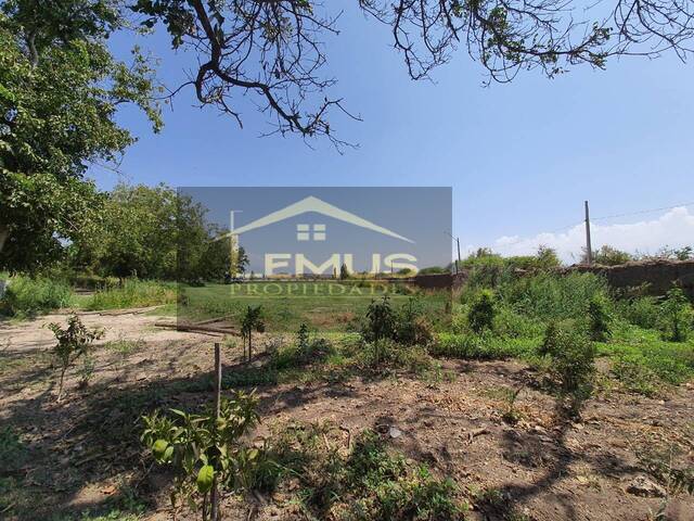 #18 - Parcela de agrado para Venta en Calle Larga - V - 1