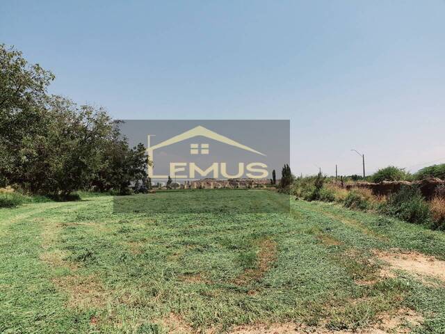 Parcela de agrado para Venta en Calle Larga - 4