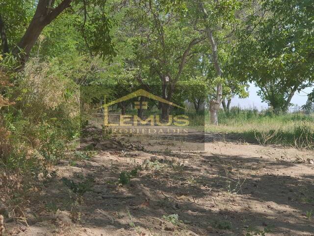 Parcela de agrado para Venta en Calle Larga - 5