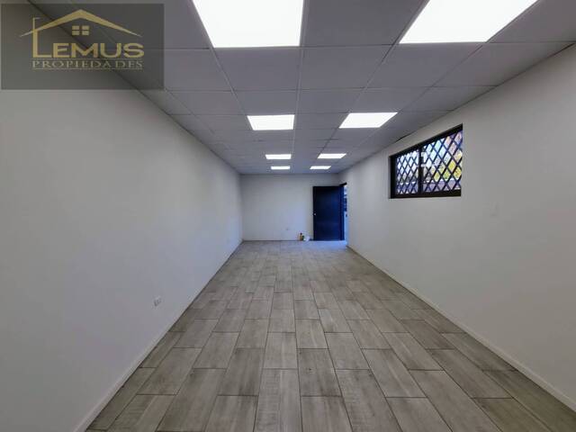 #128 - Oficina para Arriendo en Los Andes - V - 1