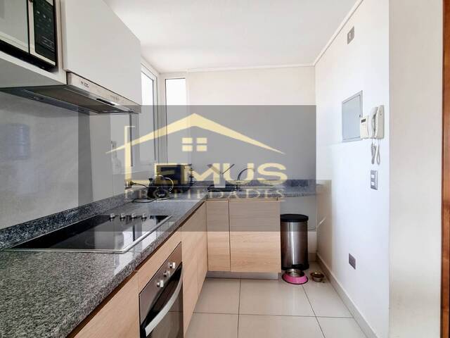 Departamento para Arriendo en Los Andes - 5