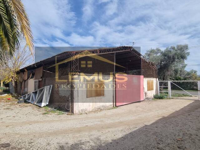 #175 - Bodega para Arriendo en San Esteban - V - 1