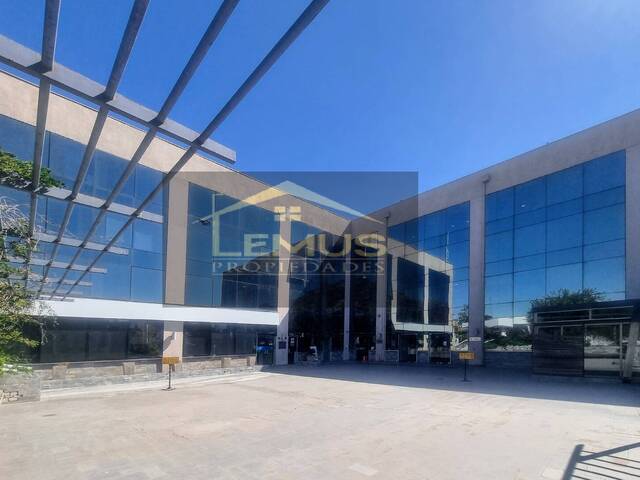 Oficina para Arriendo en Los Andes - 4