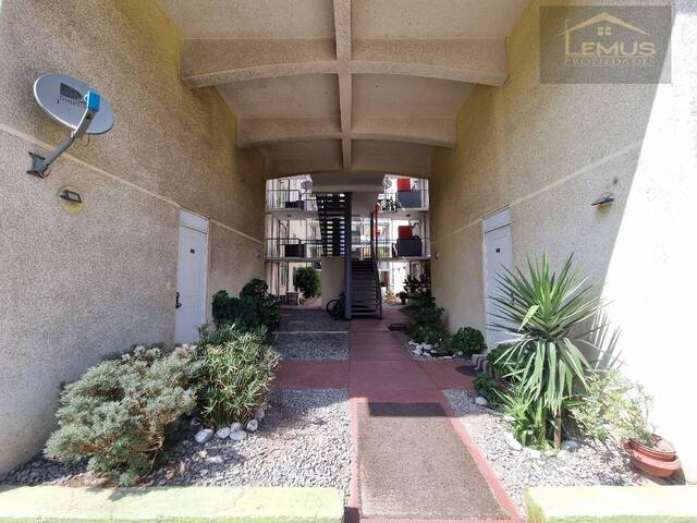 #237 - Departamento para Arriendo en San Felipe - V - 2